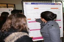Research fair
