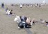 Massilia Sun Ball 6.jpg